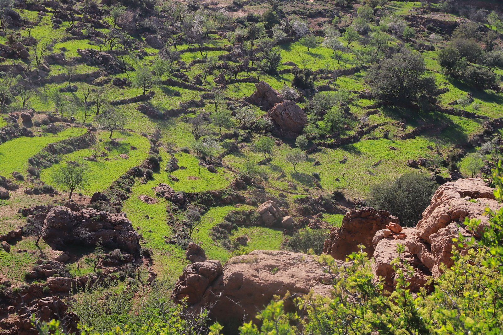 Ourika Valley Day Trip from Marrakech | Private Atlas Mountains Excursion