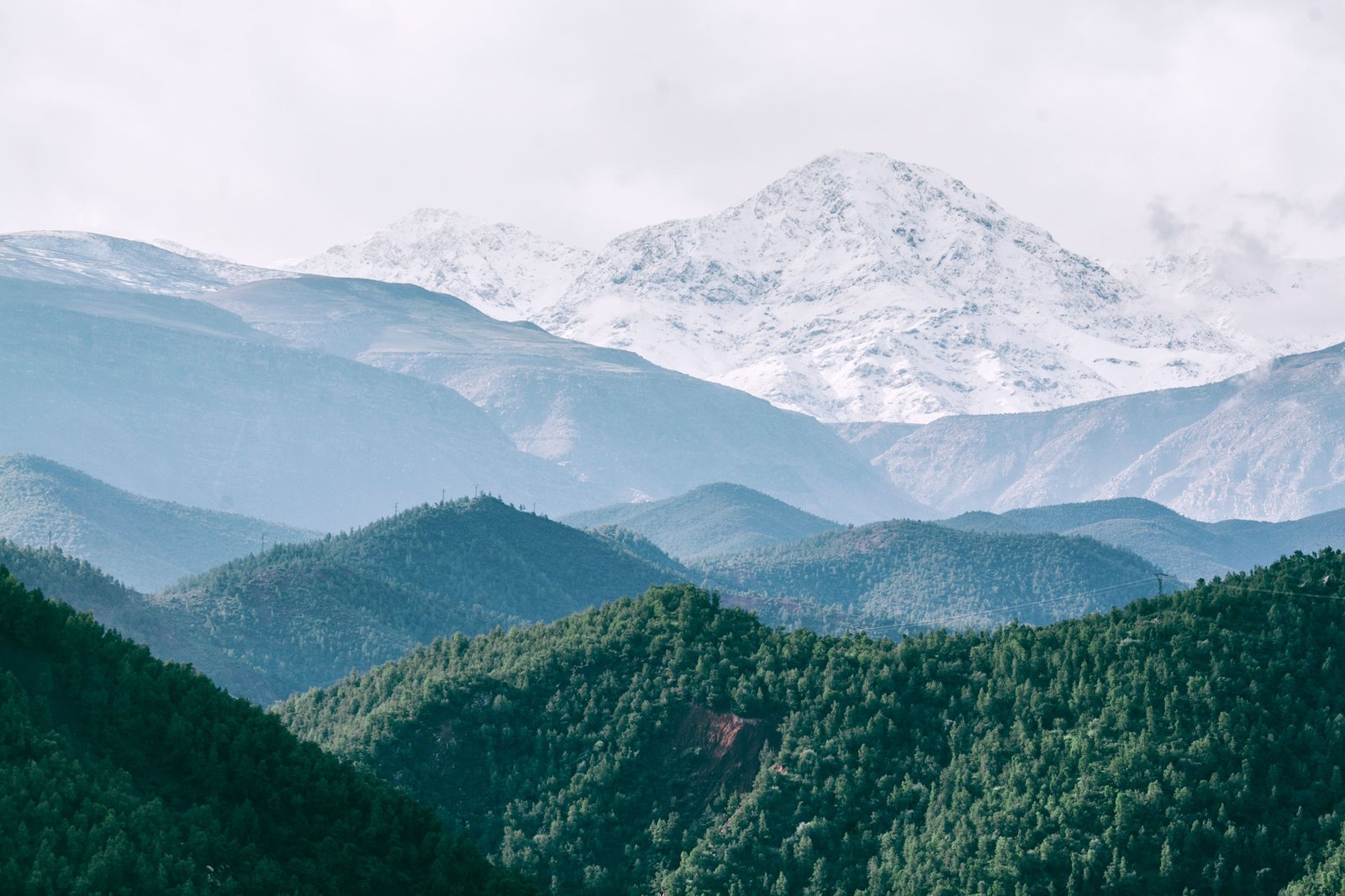 Ourika Valley Day Trip from Marrakech | Private Atlas Mountains Excursion