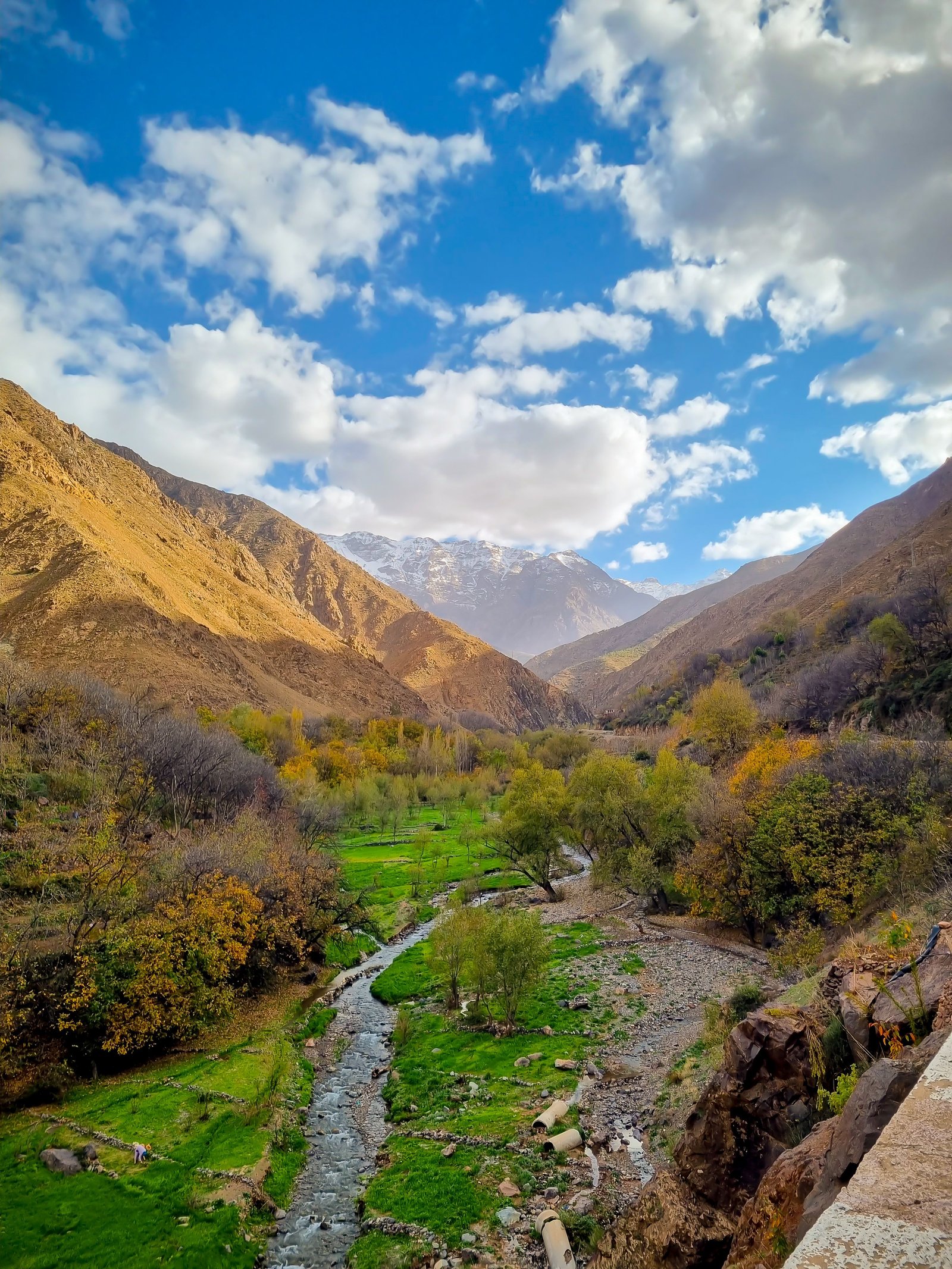 Ourika Valley Day Trip from Marrakech | Private Atlas Mountains Excursion