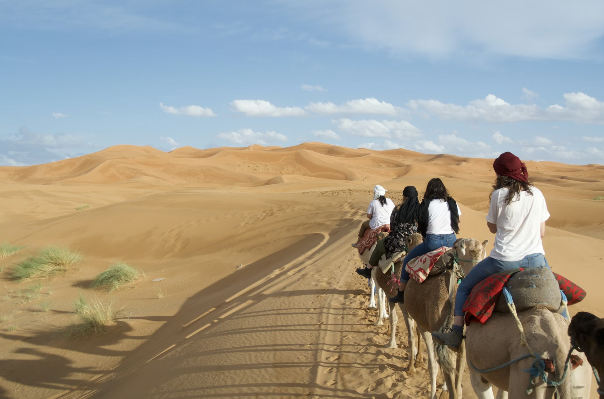 3-Day Tour from Marrakech to Fes via the Sahara