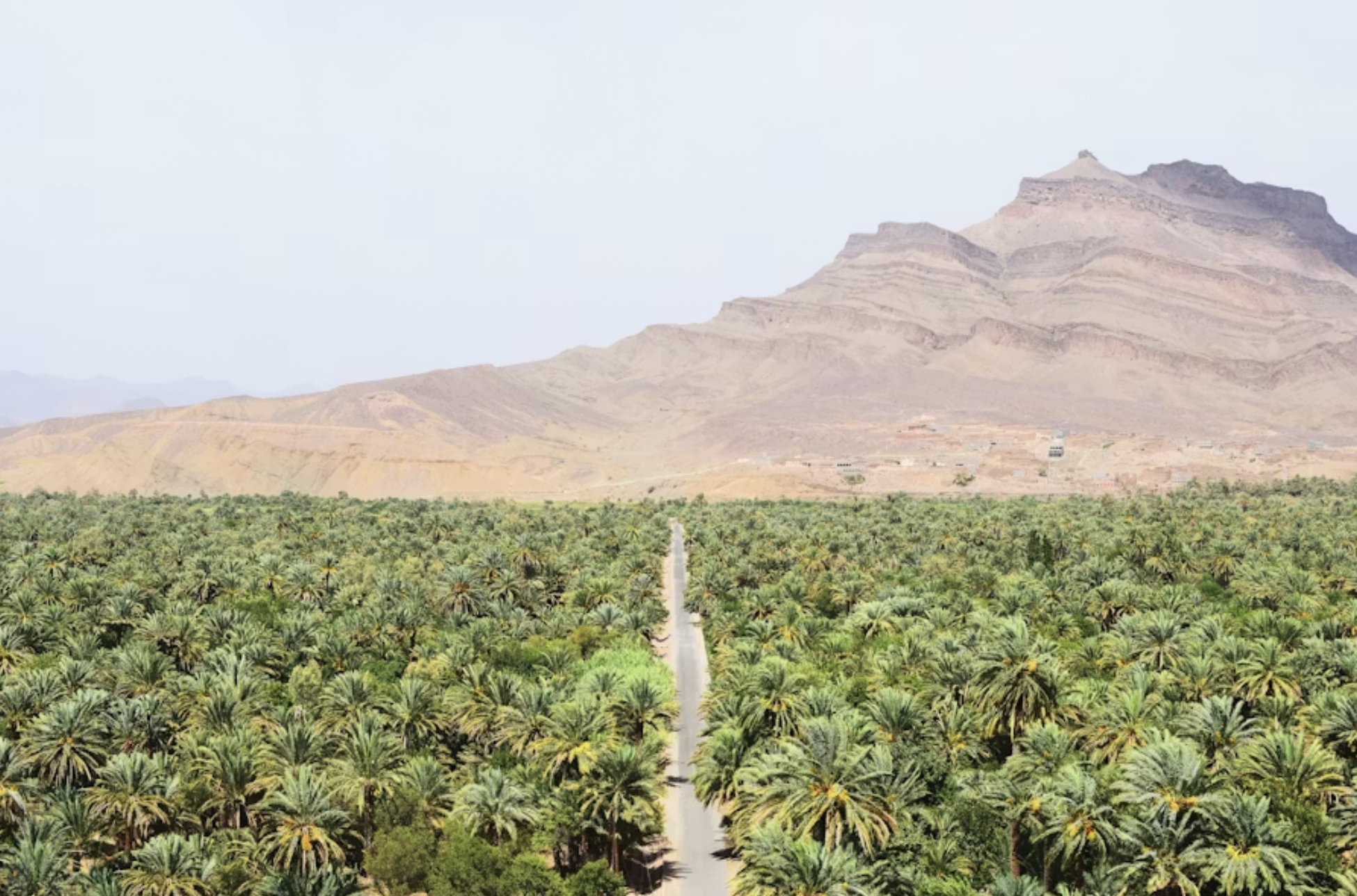 3-Day Tour from Marrakech to Fes via the Sahara