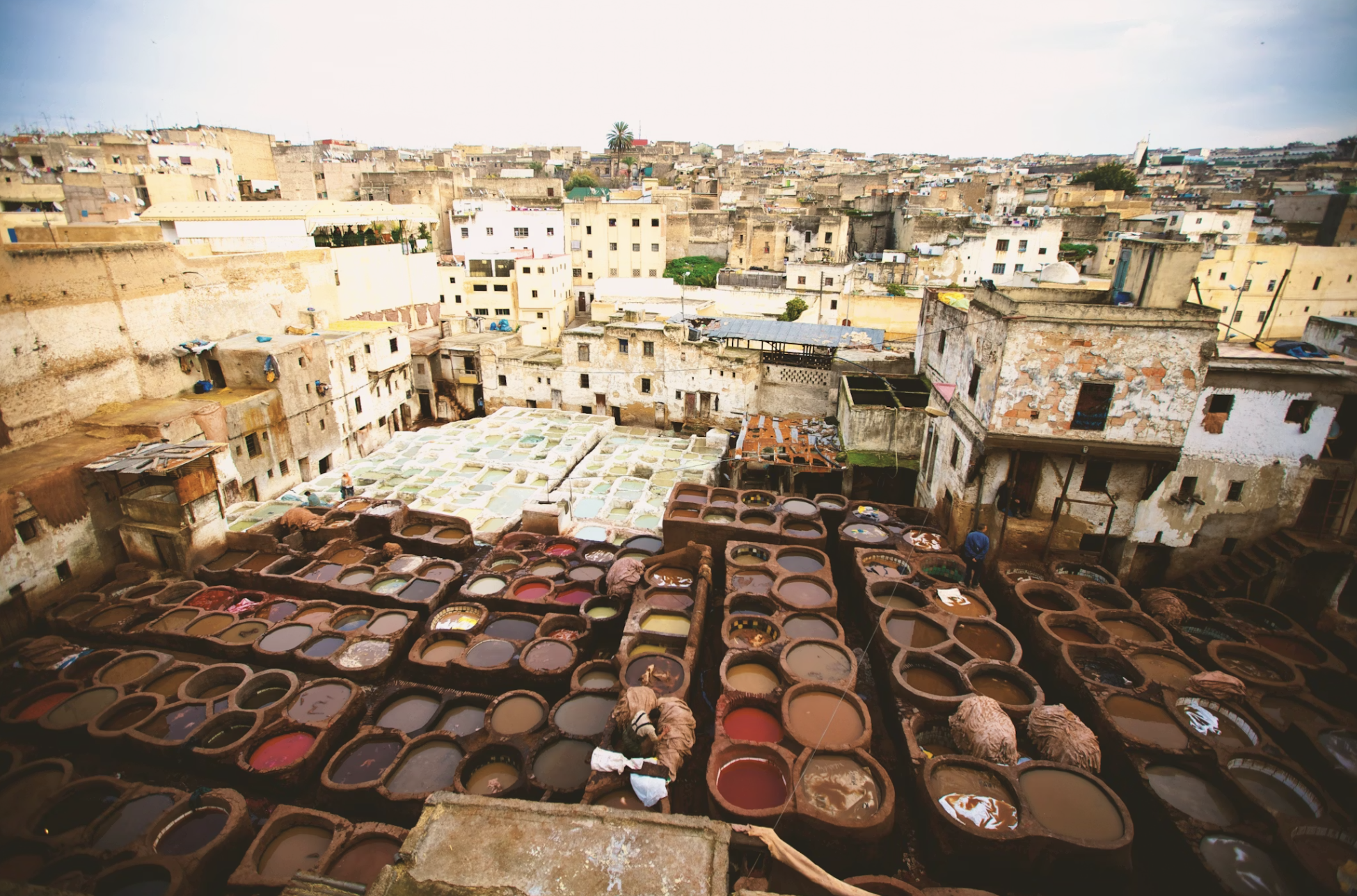 3-Day Tour from Marrakech to Fes via the Sahara