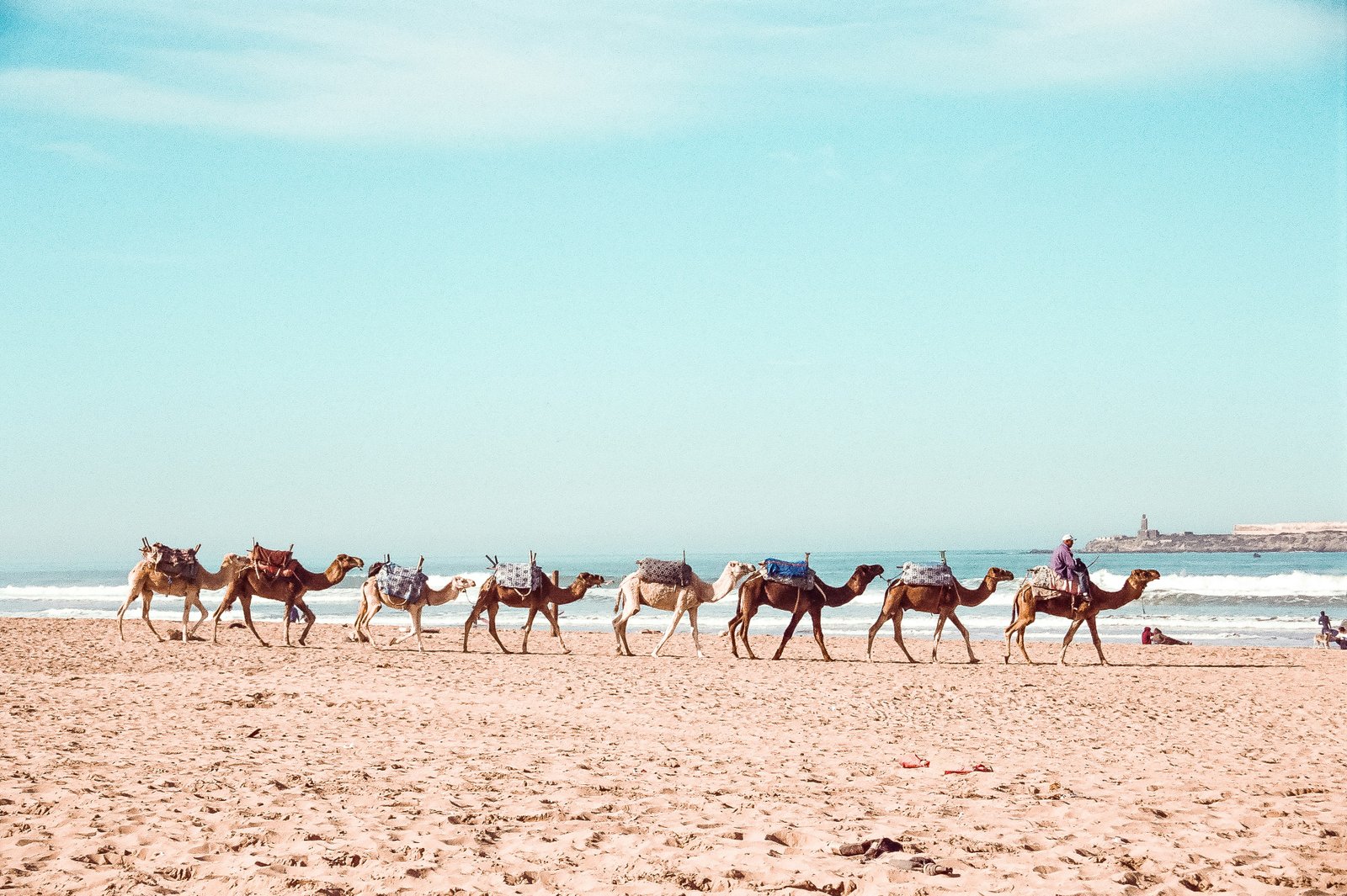 5-Day Morocco Coastal Surf & Essaouira Tour from Marrakech