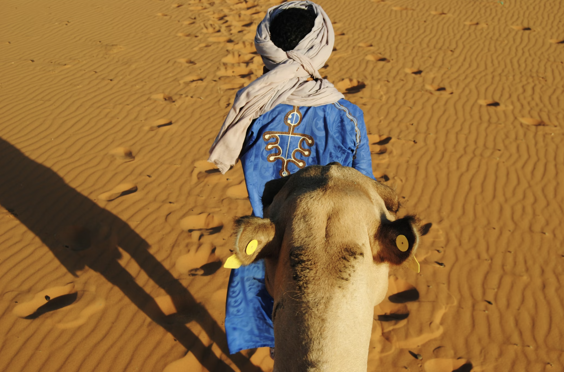 3-Day Tour from Marrakech to Fes via the Sahara