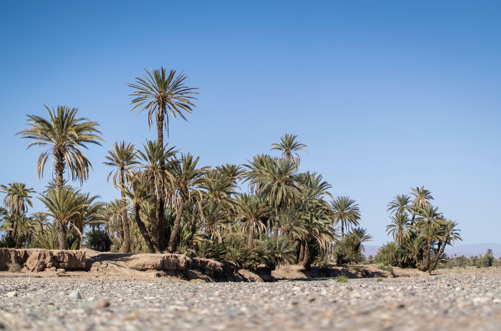 3-Day Tour from Marrakech to Fes via the Sahara