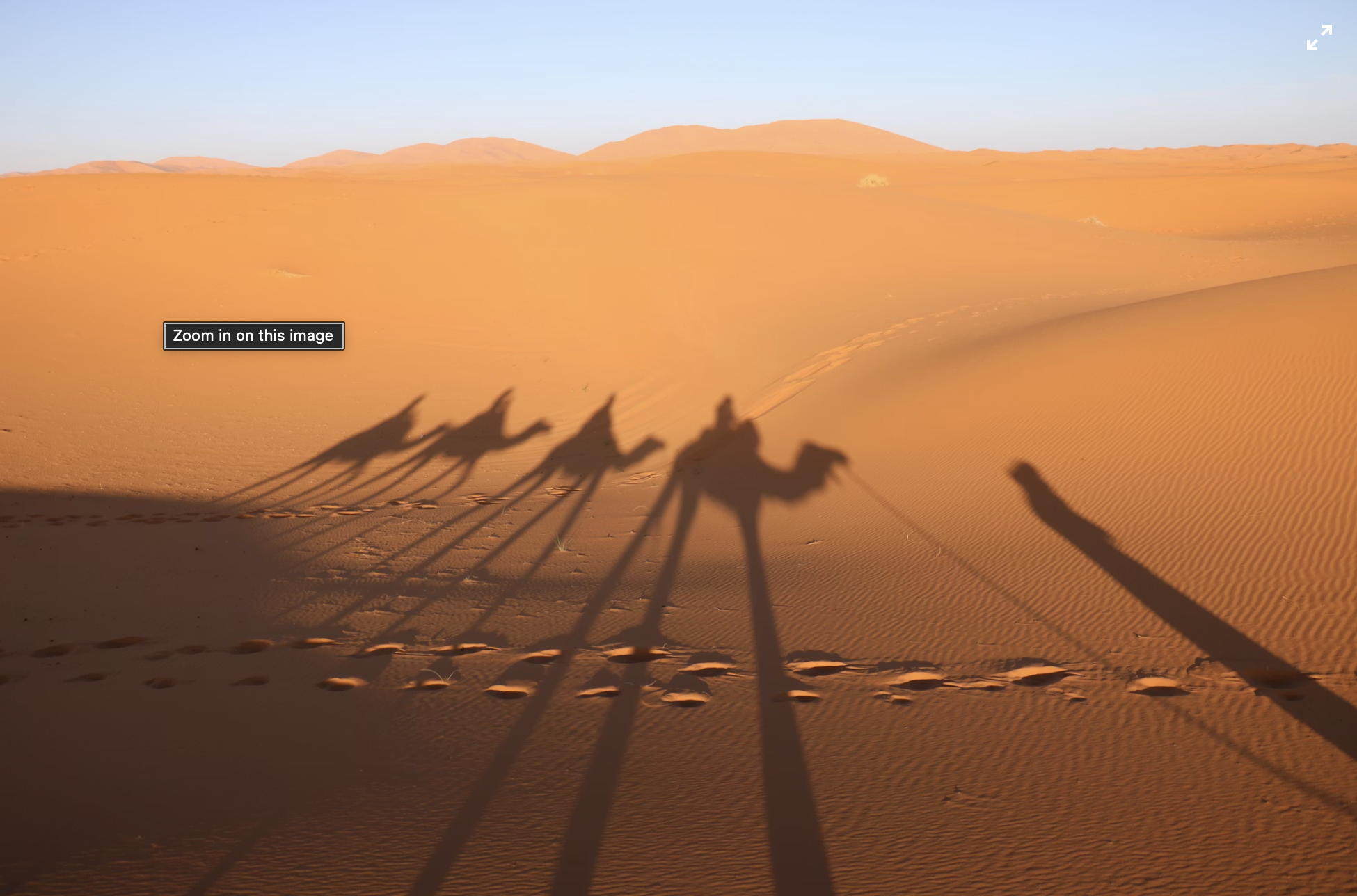 3-Day Tour from Marrakech to Fes via the Sahara