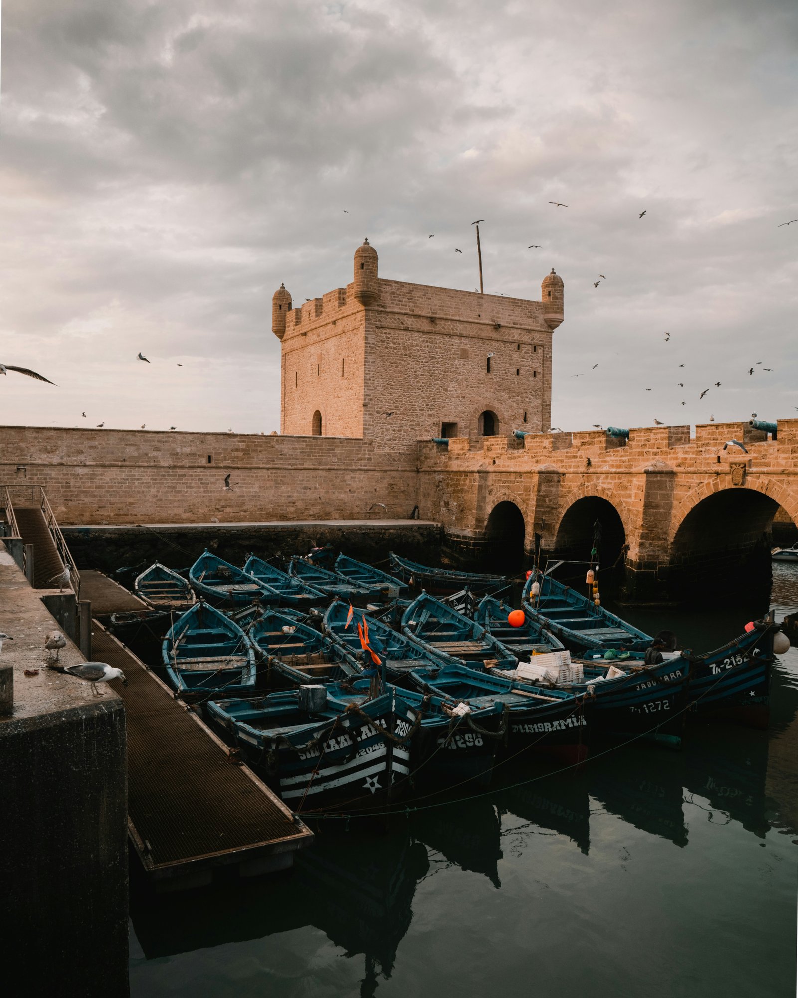 5-Day Morocco Coastal Surf & Essaouira Tour from Marrakech