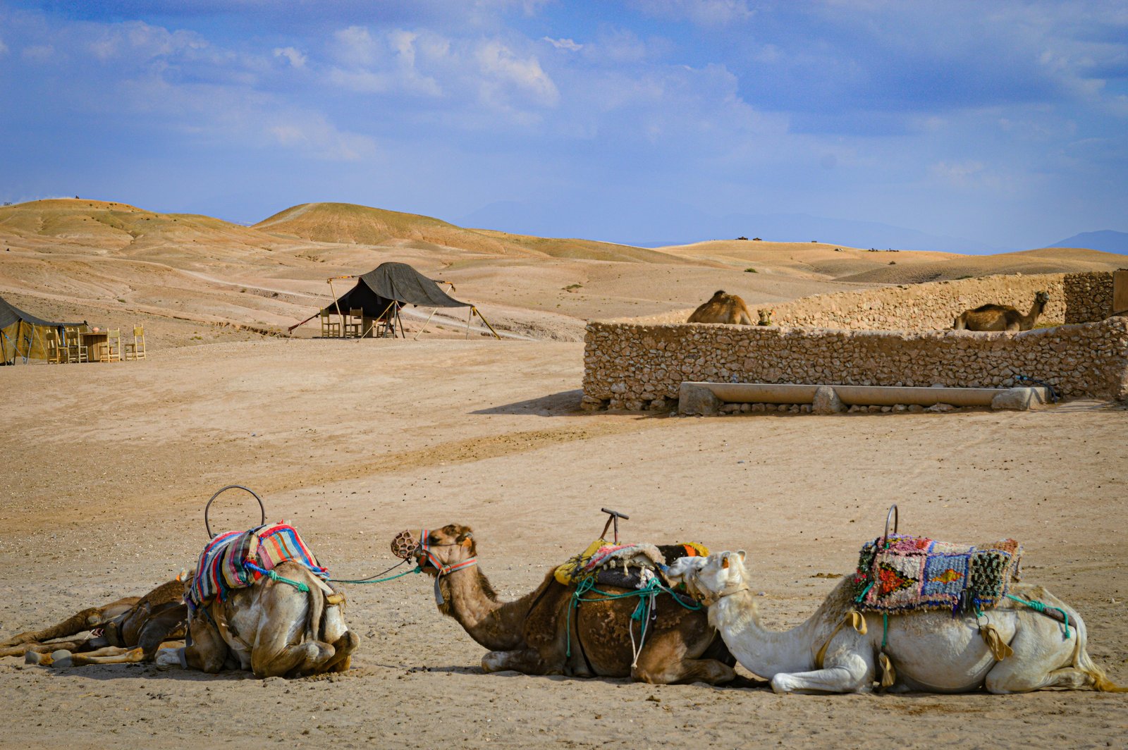 6-Day Private Discover the South of Morocco from Marrakech: Kasbahs, Valleys, and Sahara Dunes