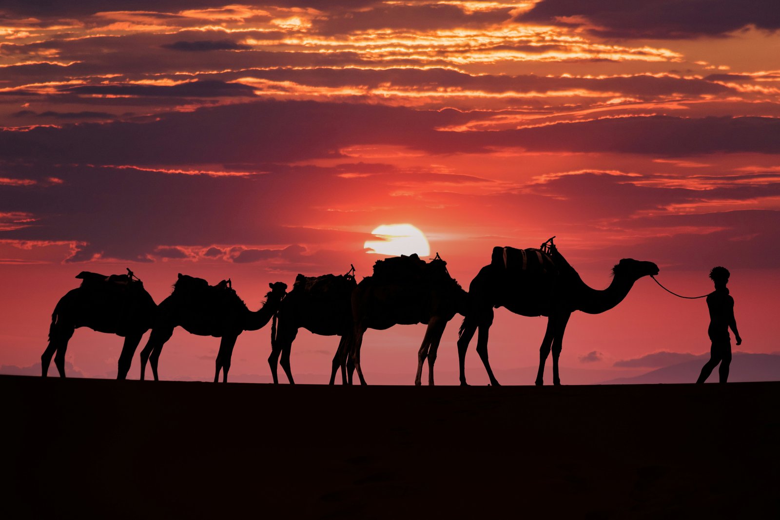 6-Day Private Discover the South of Morocco from Marrakech: Kasbahs, Valleys, and Sahara Dunes