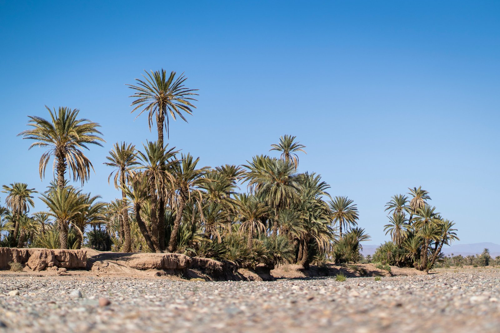 5-Day Private Tour from Tangier: Blue City, Fes, and Sahara Desert