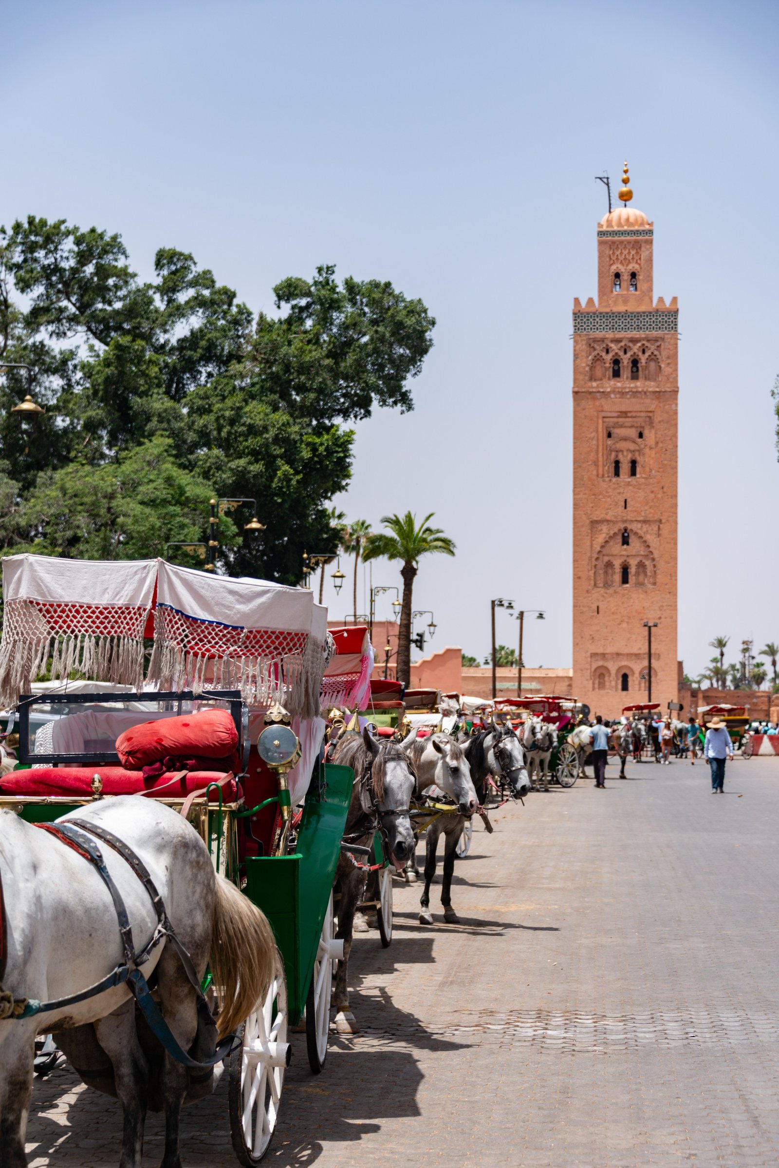 7-Day Private Imperial Cities and Sahara Desert Tour from Casablanca to Marrakech