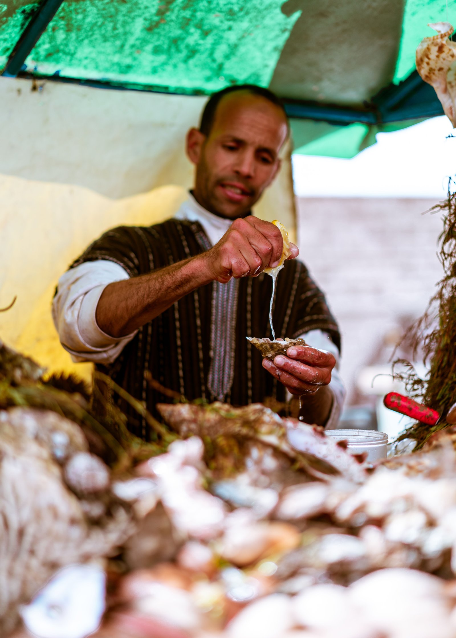Essaouira Day Trip from Marrakech | Private Atlantic Coast Tour