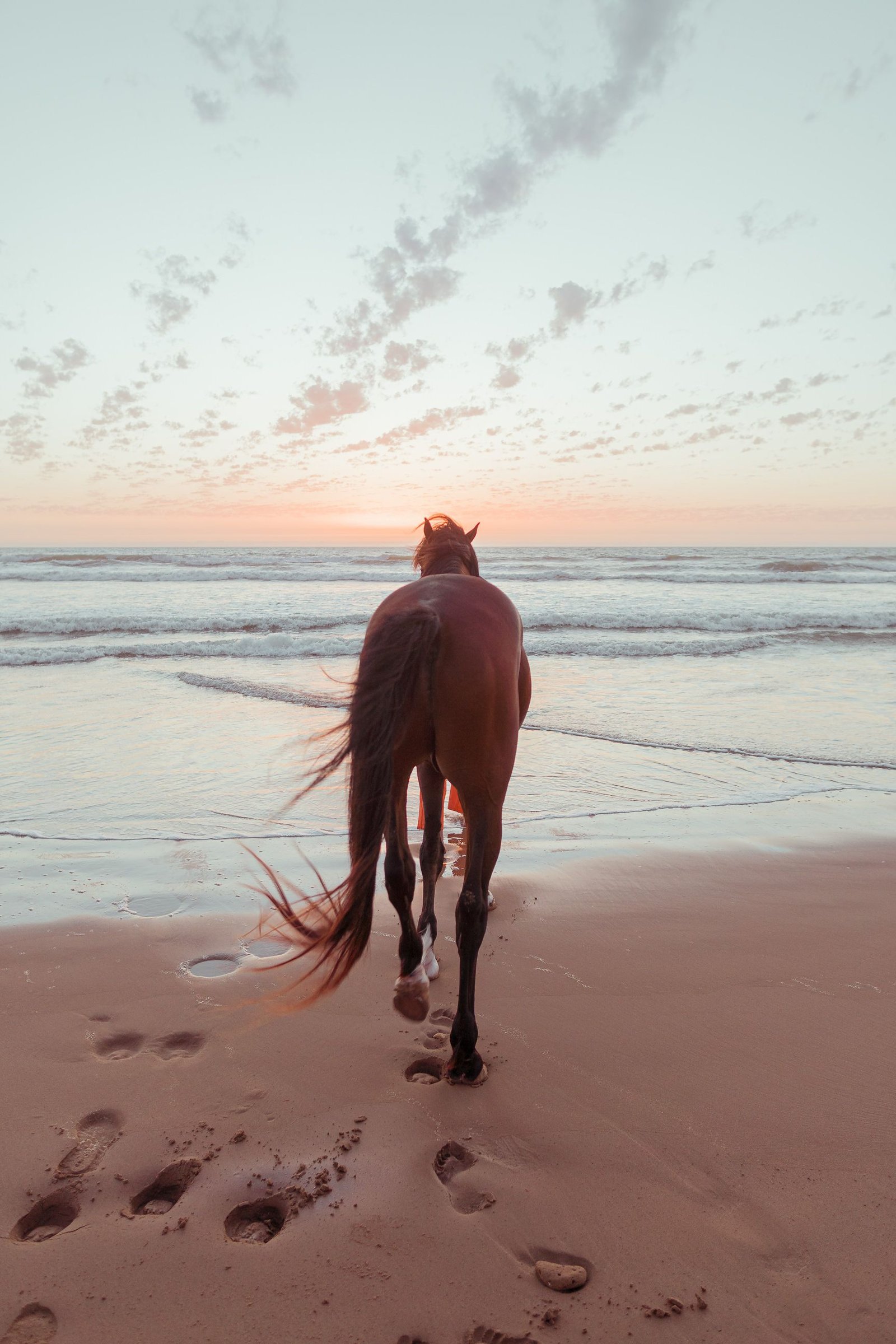 Essaouira Day Trip from Marrakech | Private Atlantic Coast Tour