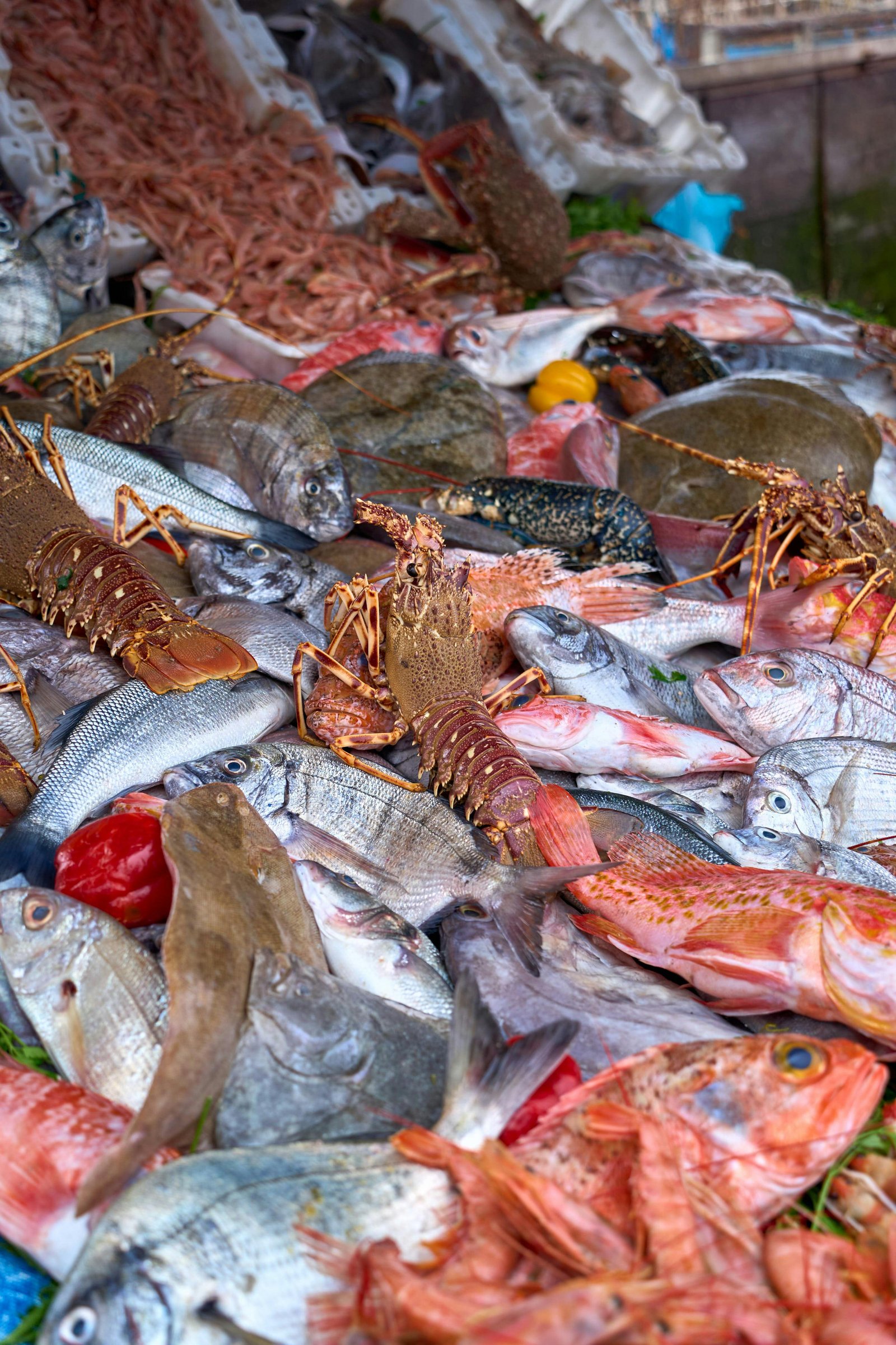 Essaouira Day Trip from Marrakech | Private Atlantic Coast Tour