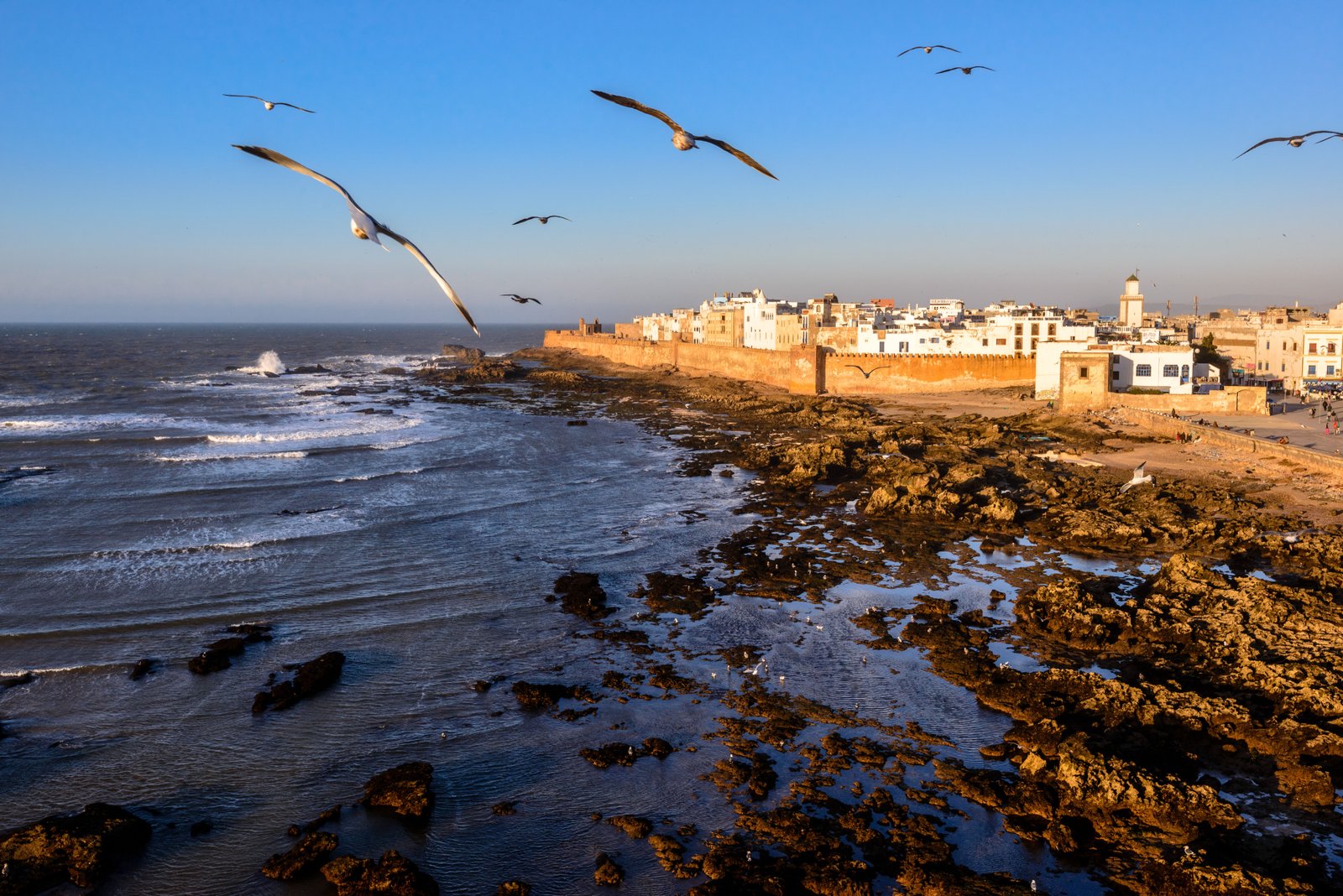 Traditional fishing harbour and Atlantic shoreline in Essaouira Morocco