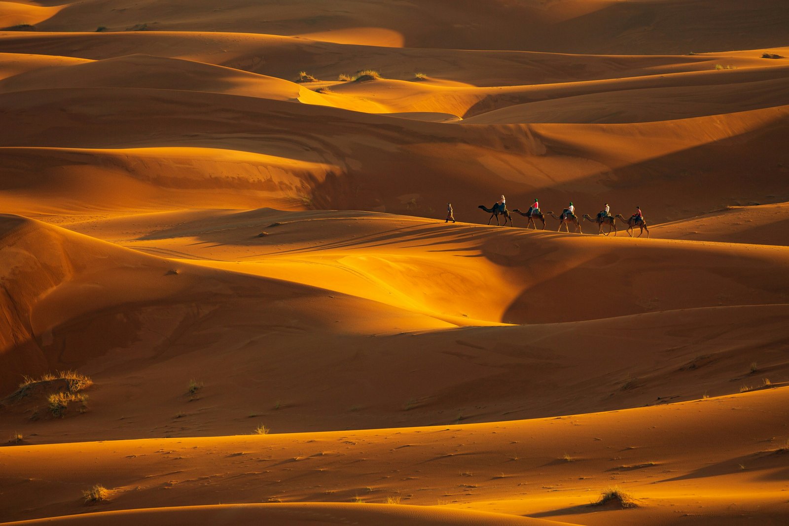 6-Day Private Discover the South of Morocco from Marrakech: Kasbahs, Valleys, and Sahara Dunes