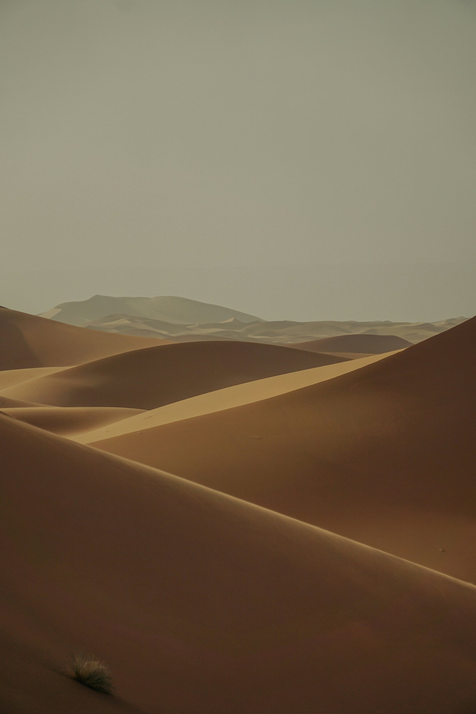 6-Day Private Discover the South of Morocco from Marrakech: Kasbahs, Valleys, and Sahara Dunes