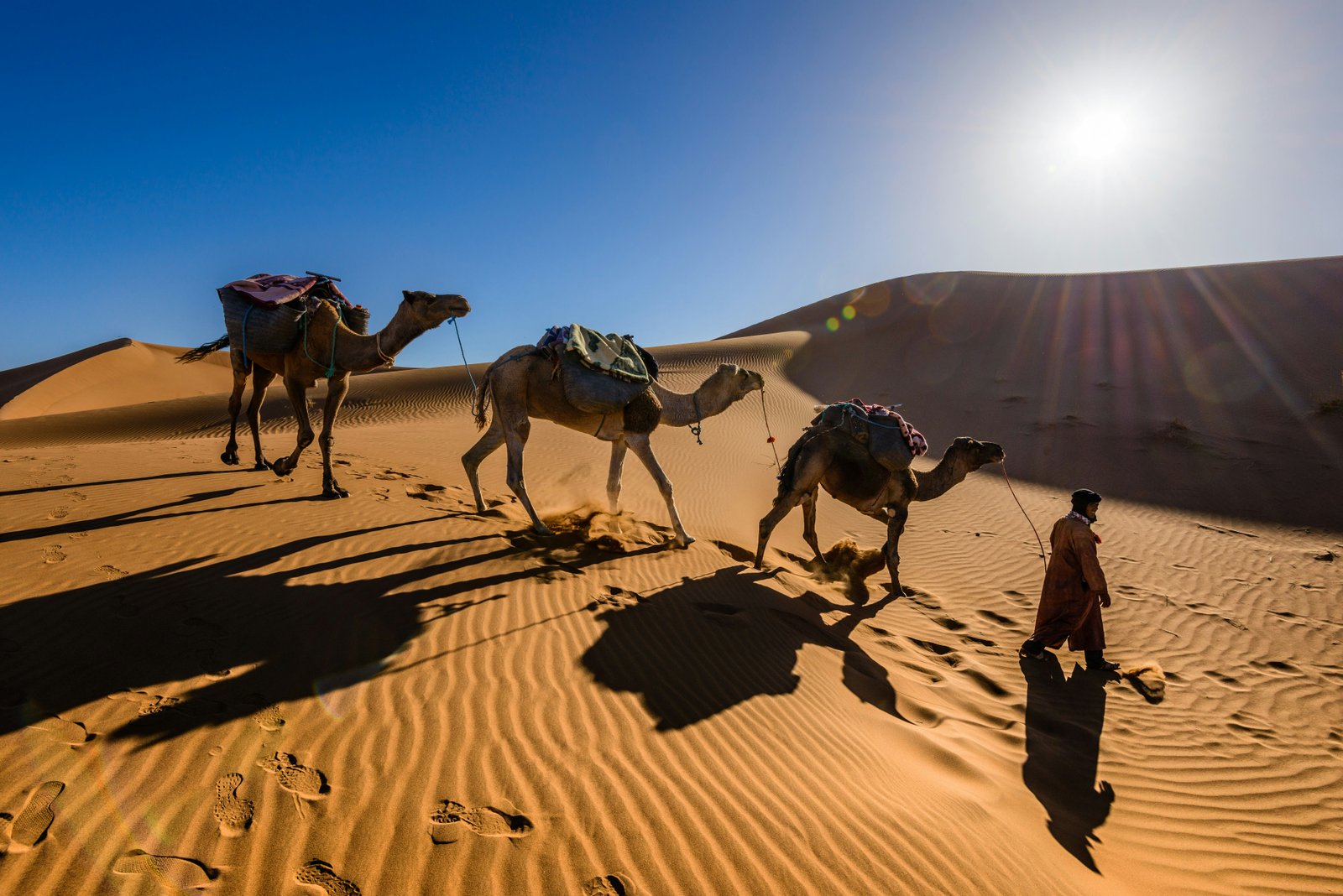 6-Day Private From the Gates of Africa to the Golden Dunes: Tangier to the Sahara and Back